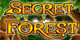 Secret Forest 