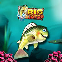Big Catch