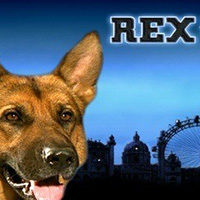 Rex